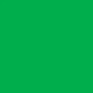 Blank Sketchbook - GREEN 250