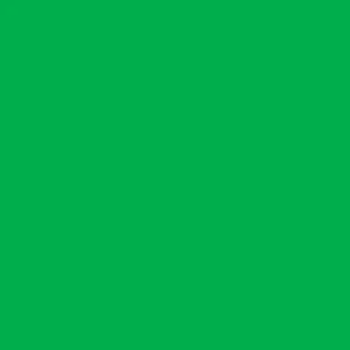 Blank Sketchbook - GREEN 250