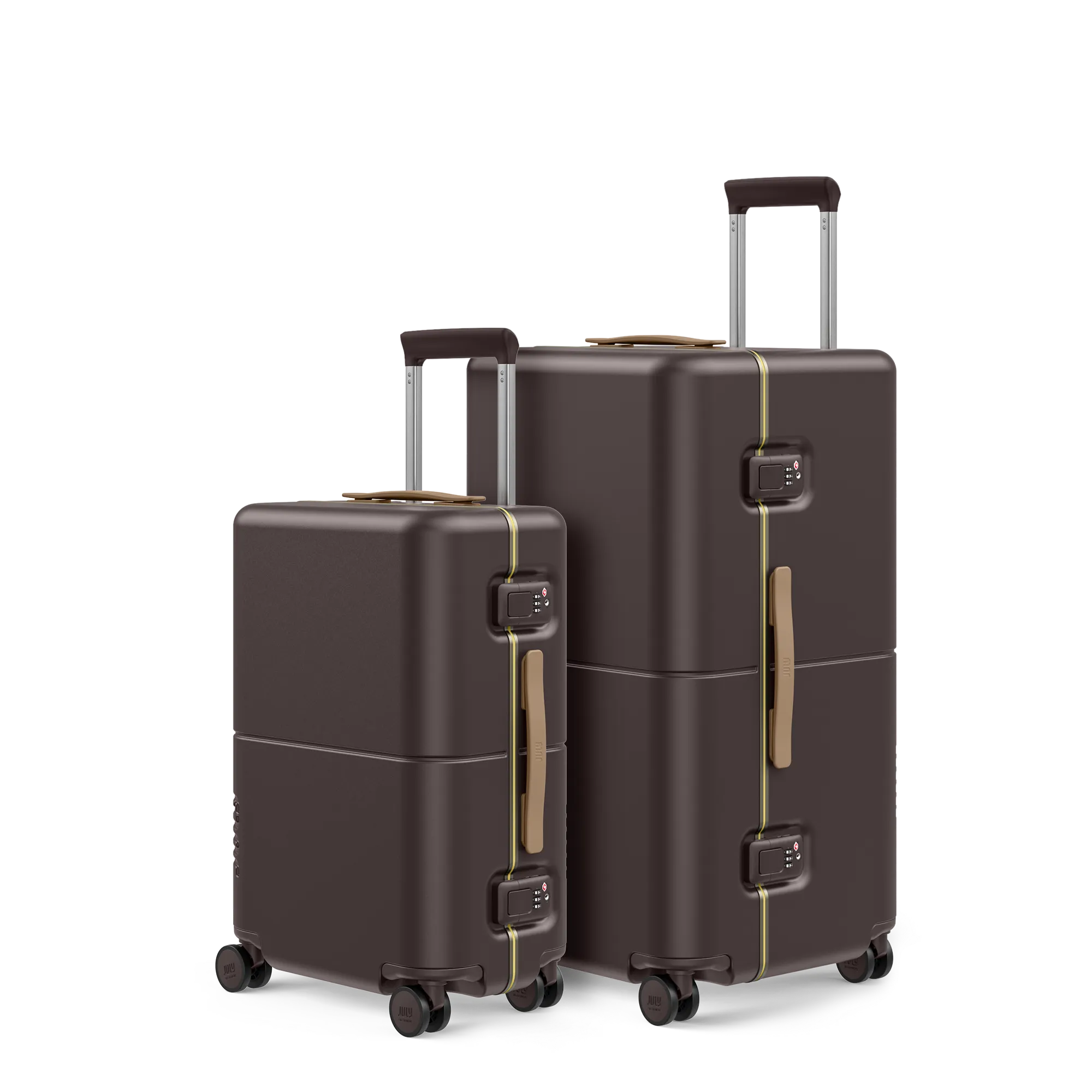 Carry On & Checked Trunk Set