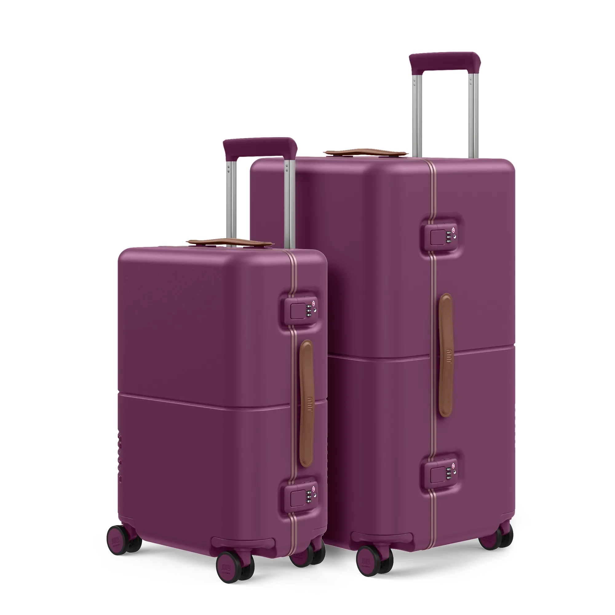 Carry On & Checked Trunk Set