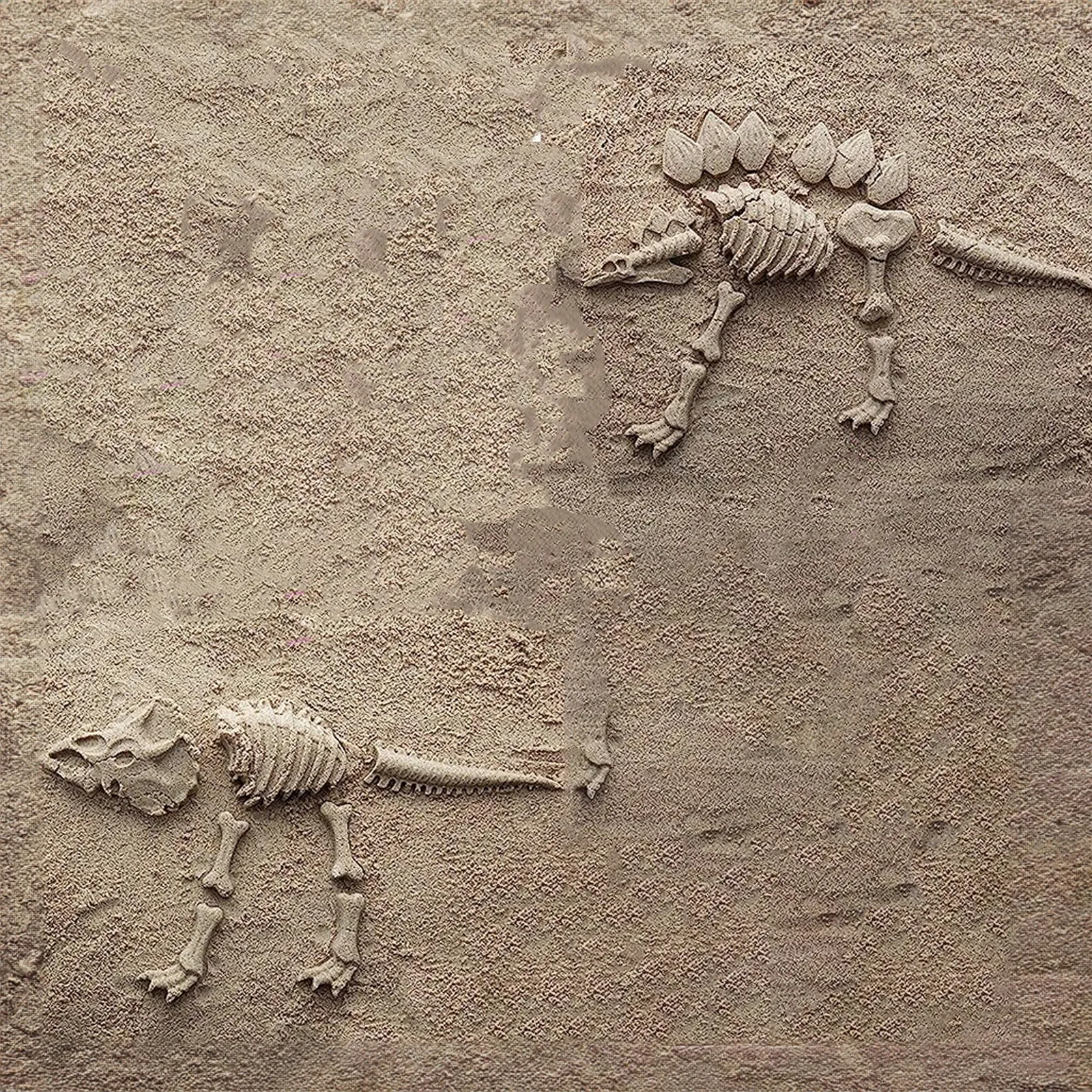 Dinosaur Fossil Sand Mould Set 3 Assorted