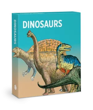 Dinosaurs Knowledge Cards