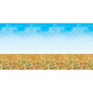 Fadeless Designs 48in x 12ft Autumn Landscape