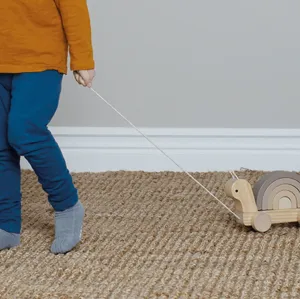 JaBaDaBaDo Pull and Stacking Snail