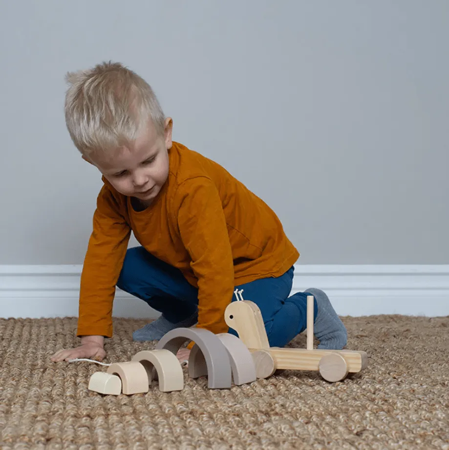 JaBaDaBaDo Pull and Stacking Snail