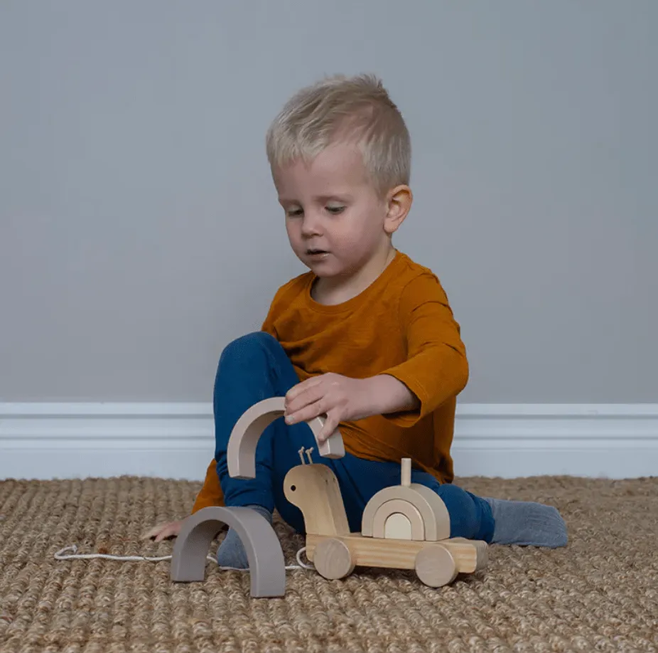 JaBaDaBaDo Pull and Stacking Snail