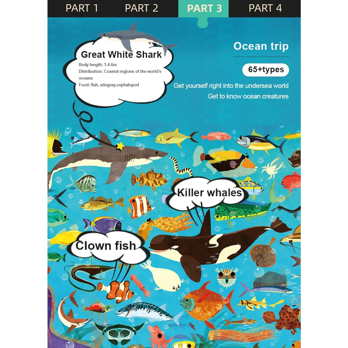 Ocean Trip 126pcs