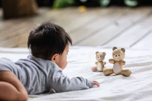PlanToys Bear and Little Bear