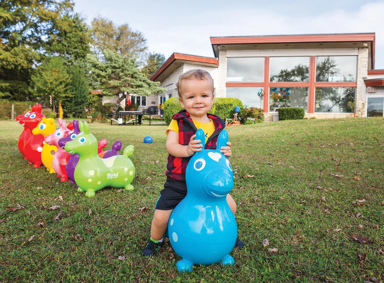Rody Horse - Teal