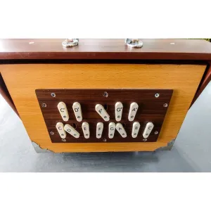 Shruti Box Deluxe with Side Controls 3C-4C