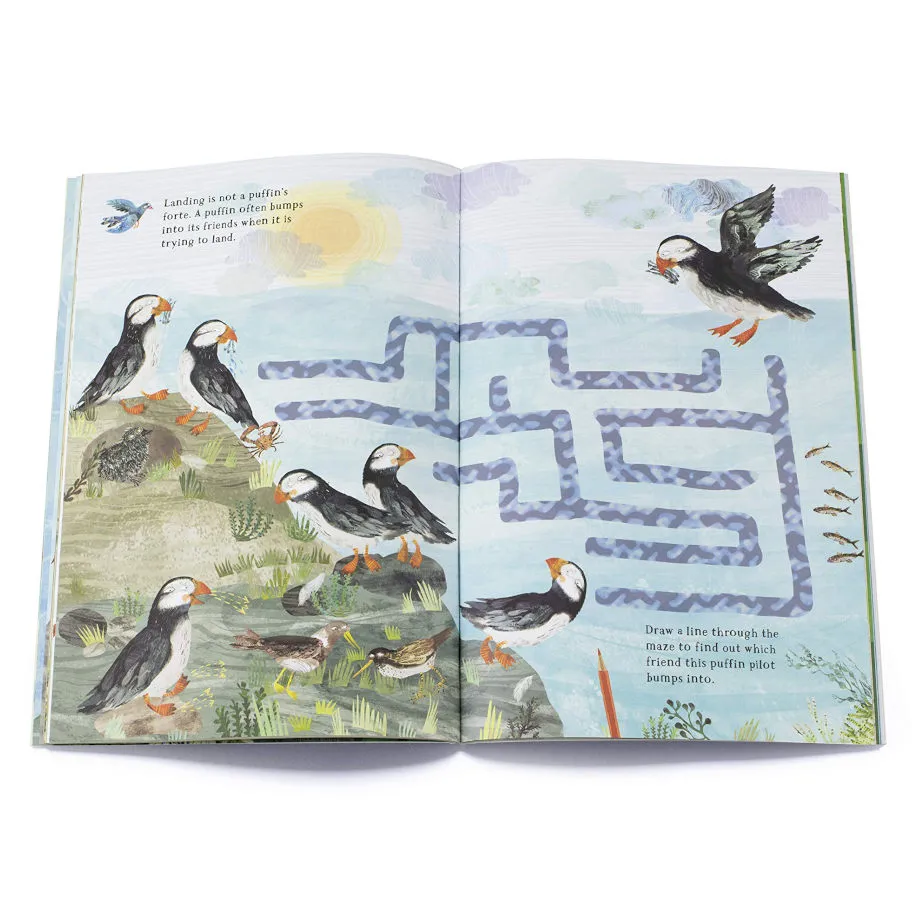 The Big Sticker Book of Birds