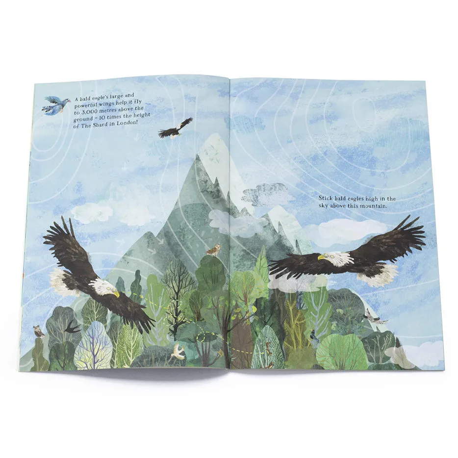 The Big Sticker Book of Birds