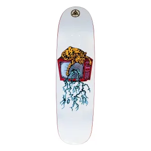 Welcome Nora Vasconcellos Static on Sphynx Deck - 8.8″ White